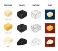 Brynza, smoked, colby jack, pepper jack.Different types of cheese set collection icons in cartoon,black,outline,flat