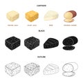 Brynza, smoked, colby jack, pepper jack.Different types of cheese set collection icons in cartoon,black,outline style