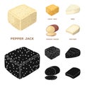 Brynza, smoked, colby jack, pepper jack.Different types of cheese set collection icons in cartoon,black style vector