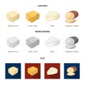 Brynza, smoked, colby jack, pepper jack.Different types of cheese set collection icons in cartoon,flat,monochrome style