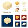 Brynza, smoked, colby jack, pepper jack.Different types of cheese set collection icons in cartoon,flat style vector