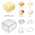 Brynza, smoked, colby jack, pepper jack.Different types of cheese set collection icons in cartoon,outline style vector