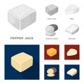 Brynza, smoked, colby jack, pepper jack.Different types of cheese set collection icons in monochrome,flat style vector