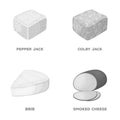 Brynza, smoked, colby jack, pepper jack.Different types of cheese set collection icons in monochrome style vector symbol