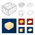 Brynza, smoked, colby jack, pepper jack.Different types of cheese set collection icons in outline,flat style vector