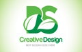 BS Green Leaf Letter Design Logo. Eco Bio Leaf Letter Icon Illus Royalty Free Stock Photo