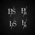 BS initial letter elegant symbol template vector