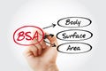 BSA - Body Surface Area acronym