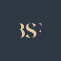 BSF abstract letter logo Royalty Free Stock Photo