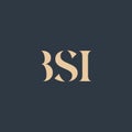 BSI abstract letter logo Royalty Free Stock Photo