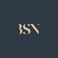 BSN abstract letter logo Royalty Free Stock Photo