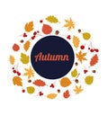 Bstract autumn backgrounds for social media stories. Colorful banners with autumn fallen leaves and Royalty Free Stock Photo