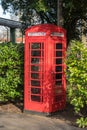 BT Telephone box among bushes in England