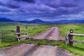 BTops Cattle Grid Gate Royalty Free Stock Photo