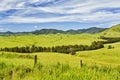 BTops Cobark Fields Grass Royalty Free Stock Photo