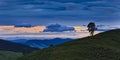 BTops Tree Top Panorama sunset