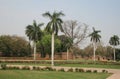 Bu Halima`s garden, Delhi