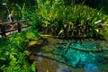 Bua Tong Spring, Nam Phu Chet Si, Thailand Source of the Sticky Waterfall