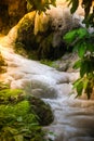 Bua Tong Waterfalls Sticky Waterfall Chiang Mai Thailand