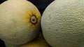 Skin texture buah melon