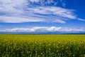 Buautifal Qinghai sight Royalty Free Stock Photo