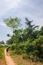 Bubaque, Guinea Bissau - December 09, 2013: Holy dead tree and man on foot path on island Bubaque, Bijagos archipelago