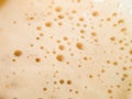 Bubbels in cappacino Royalty Free Stock Photo