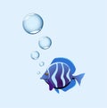 Bubble Fish Royalty Free Stock Photo