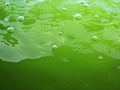 Bubbles and water waves on the green surface, texture of green bubbles, Blurred image of Green water background