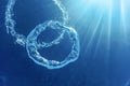 Bubble Ring Ascends towards the Sun, Underwater