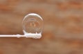 Bubble on a white wand Royalty Free Stock Photo
