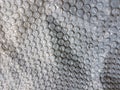 Bubble wrap texture plastic material background grey secure packing surface Royalty Free Stock Photo