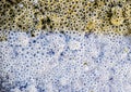 Bubbles of air in mud and silt under water. Background of bubbles, surface texture. Royalty Free Stock Photo