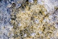 Bubbles of air in mud and silt under water. Background of bubbles, surface texture. Royalty Free Stock Photo