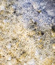 Bubbles of air in mud and silt water. Background of bubbles, surface texture