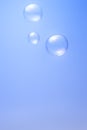 Bubbles on blue background