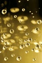 Bubbles of champaign closeup Royalty Free Stock Photo