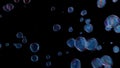 Bubbles and Colorful stock image black background Royalty Free Stock Photo