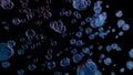 Bubbles and Colorful stock image black background Royalty Free Stock Photo