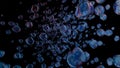 Bubbles and Colorful stock image black background Royalty Free Stock Photo