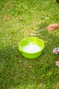 Bubbles of dishwashing liquid in a bowl of garden in the park Royalty Free Stock Photo