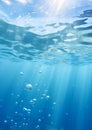 Bubbles in the Ocean: A Closeup Look