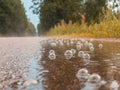 Bubbles in a puddle on the road in the rain. Autumn sadness concept