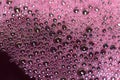 Bubbles of red wine closeup. Alcoholic background Royalty Free Stock Photo
