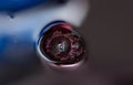 Bubbles of red wine closeup. Alcoholic background Royalty Free Stock Photo