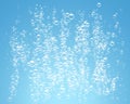 Bubbles under water on blue background vector