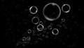 Clean oxygen bubbles on isolated white background. Texture overlays.