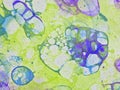 Bubbles watercolor blue green Royalty Free Stock Photo