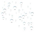 Bubbles on white background. Simple design, clear soapy shiny, vector illustration