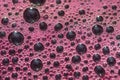 Bubbles the wort red wine during fermentation Royalty Free Stock Photo